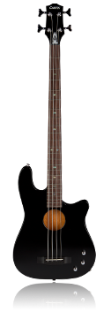 Black Acoustic Bass